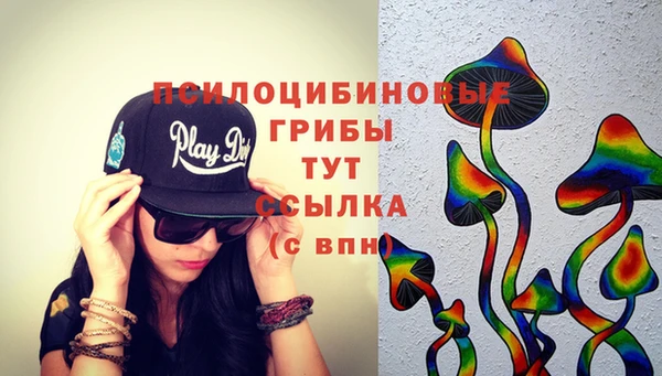 гидропоника Осинники