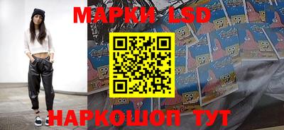 индика Гудермес