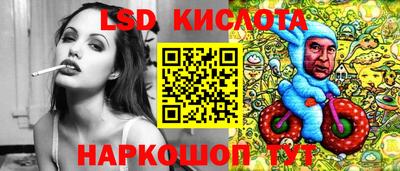 ГАЛЛЮЦИНОГЕННЫЕ ГРИБЫ Вязники