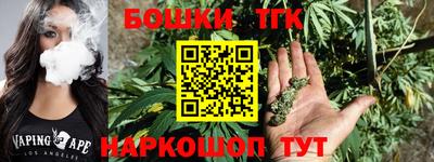 индика Гудермес